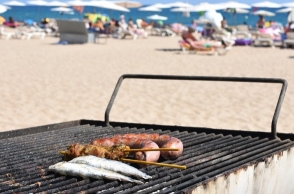 Goa government bars tourists from cooking in the open