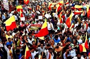 Kannada Development Authority demands removal of Hindi in schools