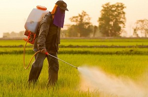 Maharashtra: 20 farmers die of pesticide poisoning