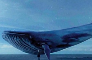 Teachers rescue 20 students from ‘Bluewhale game’ in one school