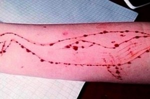 Teen uses Blue Whale to avoid getting dumped