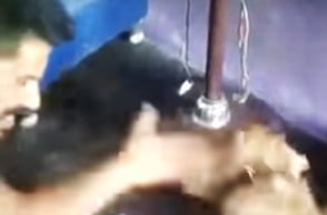 WATCH | Man thrashes dog for not writing ‘ABCD’