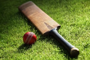 Man dies after being hit with cricket bat
