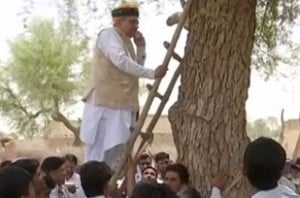 Minister climbs tree to make phone call