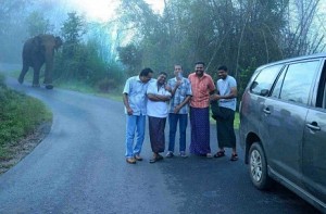 Mudumalai Tiger Reserve collects Rs 4.3 lakh on selfie fines in 2 months