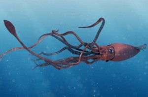 Octopuses, squids can re-code over half of their DNA