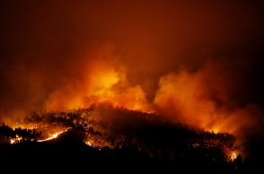 Portugal: Forest fire kills 62, injures 50