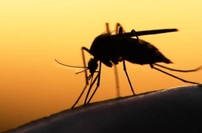 Tamil Nadu reports first case of Zika virus