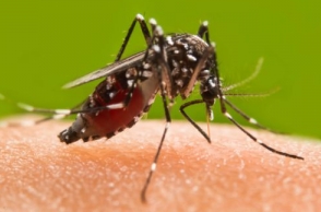 15-year-old died due to Dengue in TN
