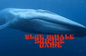 19-year-old die in Pondicherry, Blue Whale probed