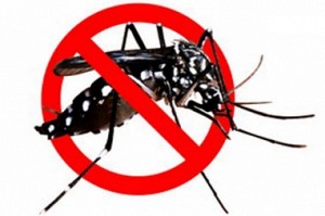 3000 notice issued for anti-mosquito drive