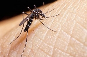 4 people died due to dengue today