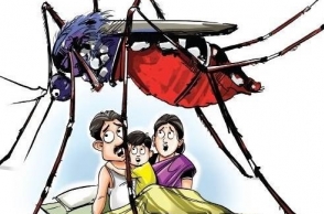 Chennai on high alert for Dengue