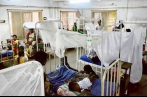 Dengue: Up to Rs 2,000 can be claimed