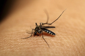 Dengue Warning: two dead in Chennai