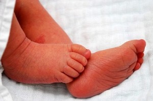 New-born found abandoned in bushes in Kanchipuram