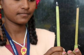 Organic pens designed by government school students