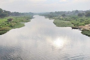 Over 600 km, 7 rivers found polluted in Tamil Nadu: Reports