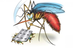 Prison inmates undergo dengue awareness programme