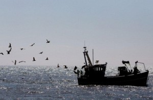 Sri Lankan Navy arrests 48 Tamil fishermen