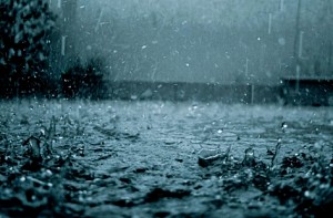 Tamil Nadu: Rainwater enters houses