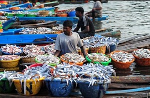 TN fishers to resume fishing
