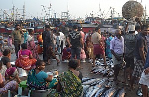 TN government passes GO on fishing ban