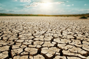 TN reeling under severe drought: D Jayakumar