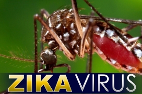 WHO confirms first three Zika virus cases in India