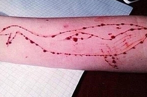 17-year-old Russian girl, alleged mastermind of Blue Whale game, arrested