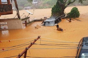At least 179 bodies recovered from Sierra Leone mudslide: Red Cross