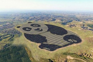 World’s cutest solar farm in China is shaped like a panda