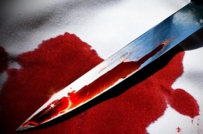 Youth stabbed to death over cricket ball hitting woman