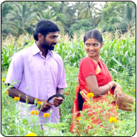 Thenmerkku Paruvakaatru