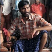 dhanush-vetrimaran-25-01-11