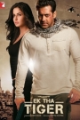 Ek Tha Tiger Movie Review