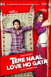 tere-naal-love-ho-gaya-review