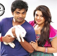 simbu-confused-due-to-hansika-photos-pictures-stills