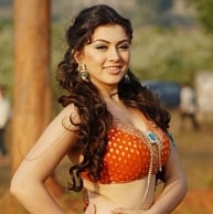 Hansika files suit against the Tamil dubbing rights holders of her 2010 Telugu film Seetharamula Kal