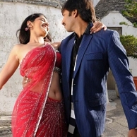 Telugu movie Wanted will be dubbed in Tamil with the title Vengai Puli Telugu movie Wanted will be dubbed in Tamil with the title Vengai Puli