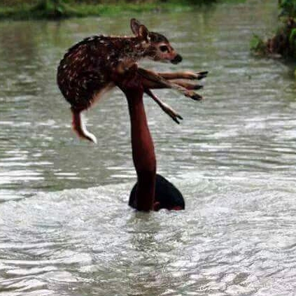 Few tips to handle the crisis caused due to Chennai rains.