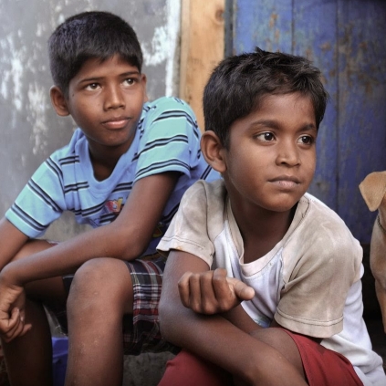 Is Manikandan's Kaakka Muttai in the Oscar race?