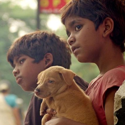 Actor Vidharth enters wedlock today, 11th of June