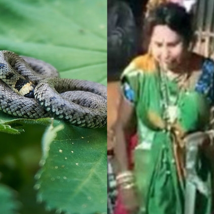 Theatre actress Kalidasi passes away after being bit by snake