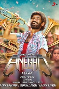 Anegan