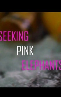 Seeking Pink Elephants - English short film