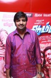 Aambala Audio Launch