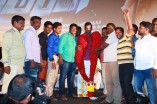 Aambala Audio Launch