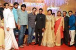 Amala Paul and Director Vijay Wedding Reception