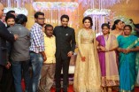 Amala Paul and Director Vijay Wedding Reception